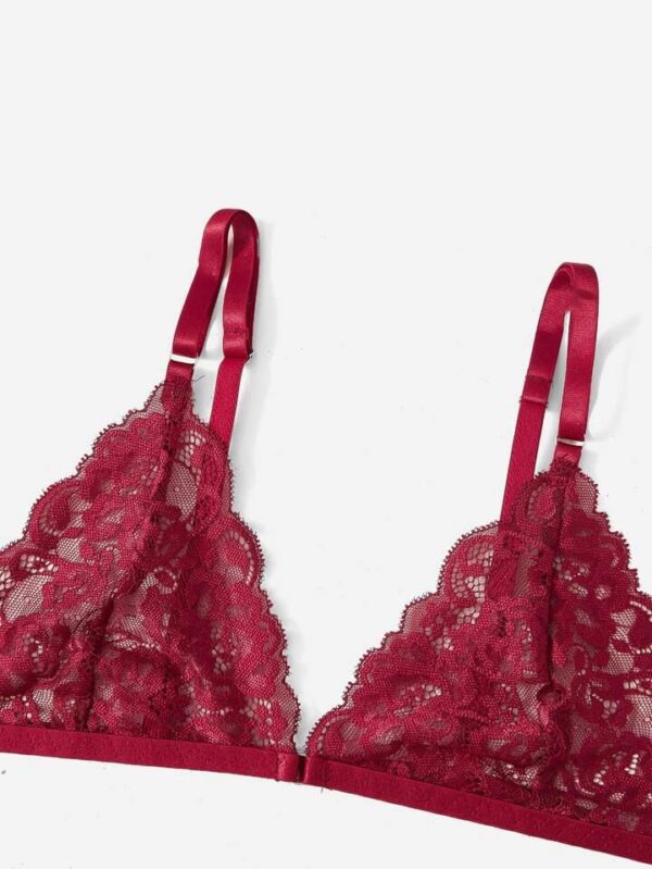 Scarlet Wine Lace Bra &Garter Set
