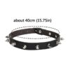 Sin Bound Chocker