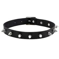 Sin Bound Chocker