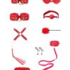 Chain of Trust Red 11 piece Roleplay Set