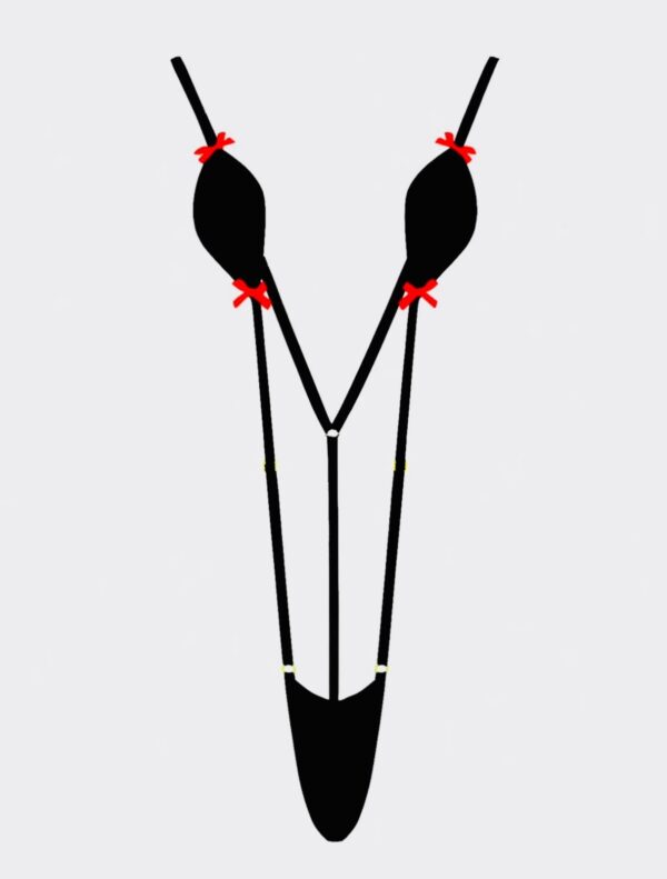 photo-2024-11-30-11-32-54 Tempt Me Lace Bow Slingshot Micro Monokini