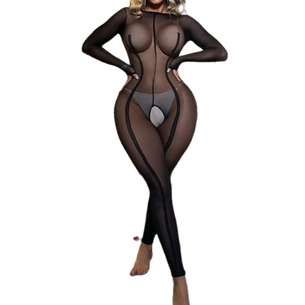 copy_0f374345-0545-4bad-b0e7-cc8c5c238232 Midnight Obsession Sheer Cut-Out Open Crotch Bodysuit