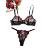 Sinful Hearts Lingerie Set