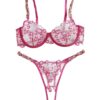 Amour Pop Embroidery Lingerie Set