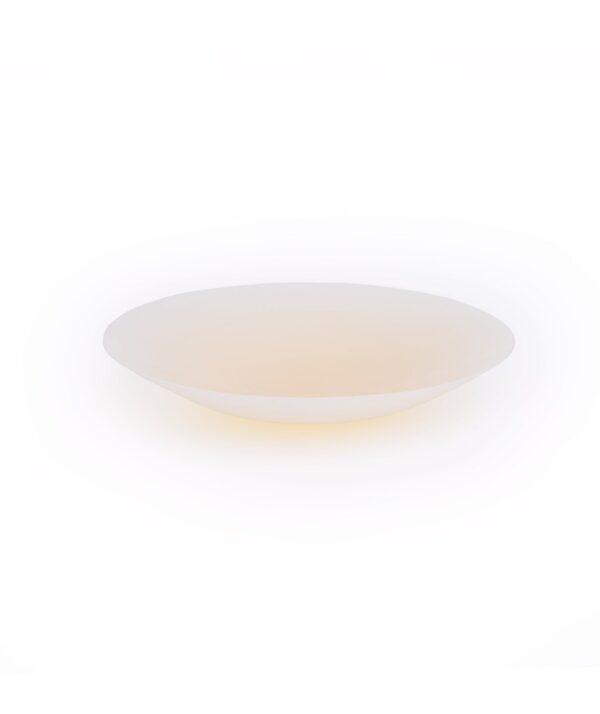 Silicone Nipple Covers- Ivory