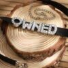 Owned Rhinestone Choker