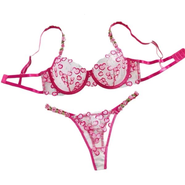 Amour Pop Embroidery Lingerie Set