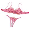 img_4987 Pink Flamingo Lingerie Set
