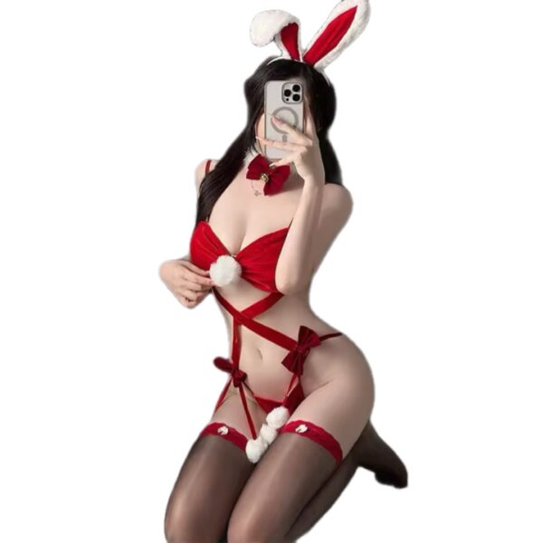 copy_d1061cc3-4816-4e78-81e5-a02a4db6aaed Snow Bunny Roleplay Set