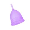 copy_f2dc7860-8614-40d6-9888-20f5779f15f8 BloomCare Reusable Menstrual Cup