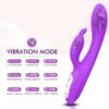Desire HeatWave Rabbit Vibrator