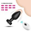 App-Controlled Vibrating Plug