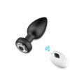 App-Controlled Vibrating Plug
