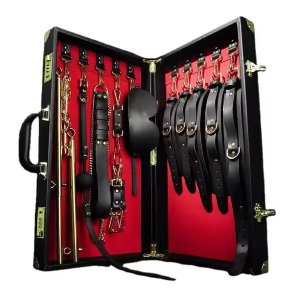 Master’s Play Kit (Briefcase Edition)