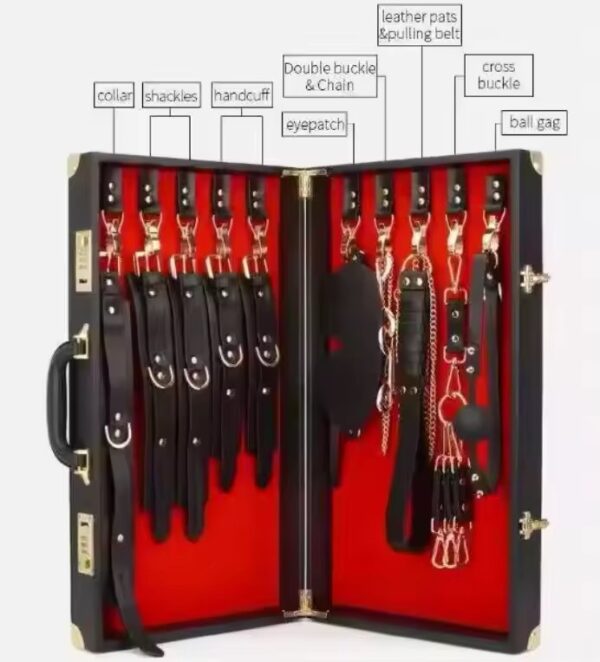 Master’s Play Kit (Briefcase Edition)