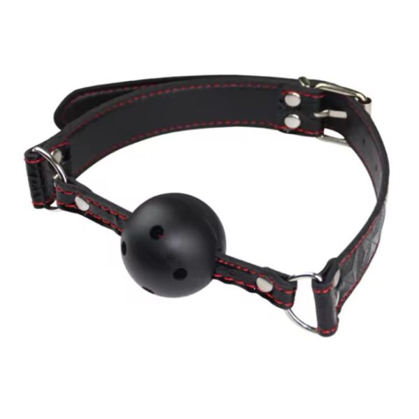 Dominant Desire Bondage Collection - 11 PCS