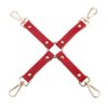 Red Temptation 6 piece Bondage Kit