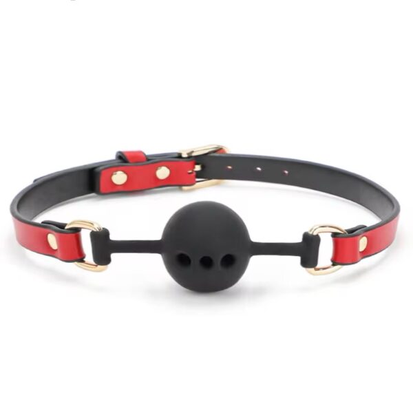 Desire Dominance Deluxe Set