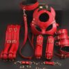Desire Devil Kitty Red Bondage Kit