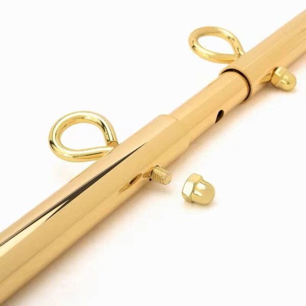 Desire Golden Command Restraint Bar Set