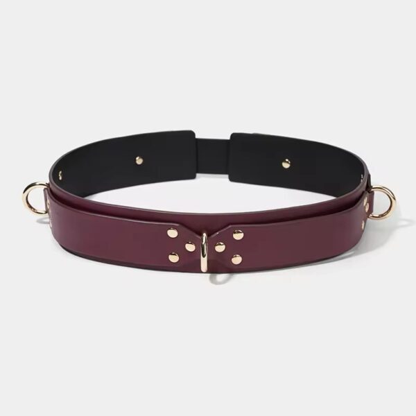 Desire Royal Bondage Kit