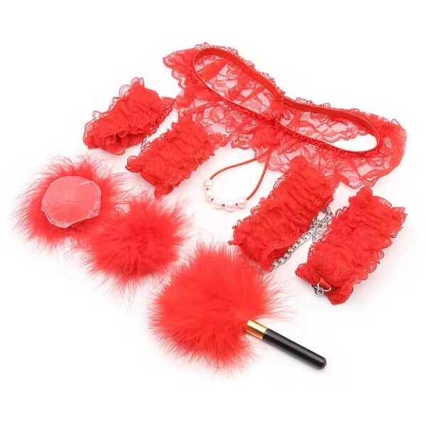 img_7084 Desire Scarlet Lace Fantasy Play Set