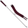 Desire Burgundy Collar & Leash Set
