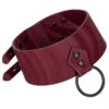 Desire Burgundy Collar & Leash Set