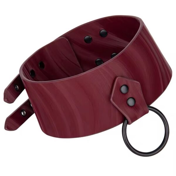 Desire Burgundy Collar & Leash Set