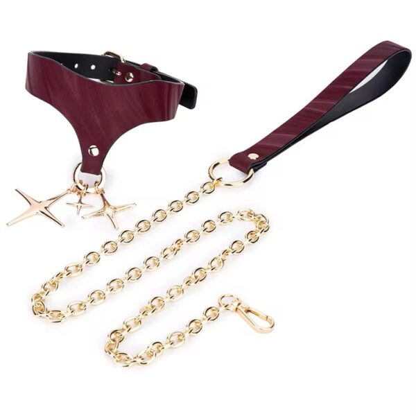 img_7260-1 Desire Burgundy Star Collar & Leash Set