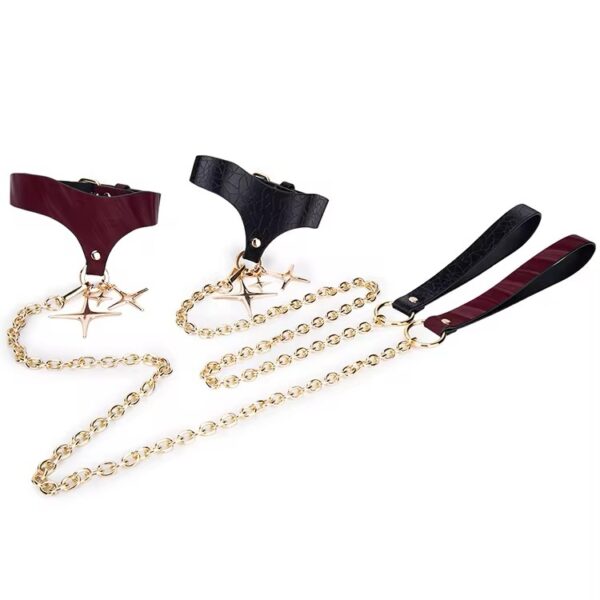 img_7262 Desire Burgundy Star Collar & Leash Set