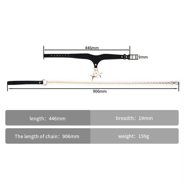 img_7263 Desire Burgundy Star Collar & Leash Set