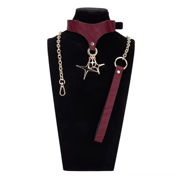 img_7264 Desire Burgundy Star Collar & Leash Set