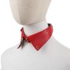 Desire Red Servant Collar & Leash Set