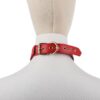 Desire Red Servant Collar & Leash Set