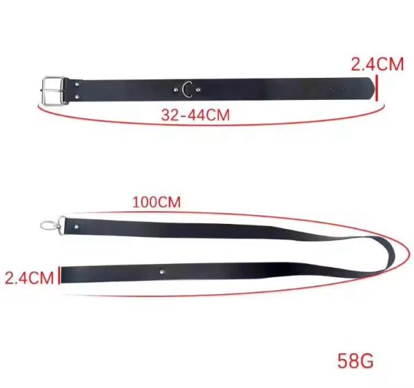 Desire Jet Black Collar & Leash