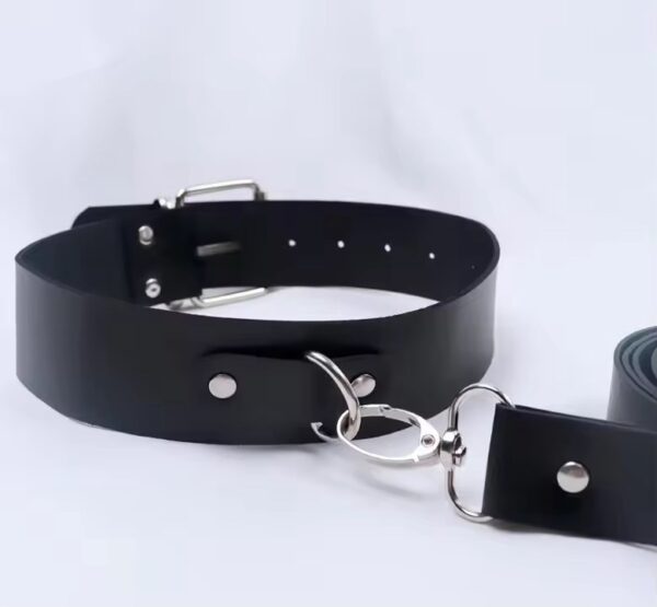 Desire Jet Black Collar & Leash
