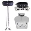 img_7287-2 Desire Temptation Collar & Chain Clamp Set