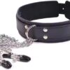 img_7289-2 Desire Temptation Collar & Chain Clamp Set