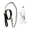Desire Chain Collar & Leash