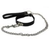 Desire Chain Collar & Leash