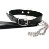 Desire Chain Collar & Leash