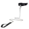 Desire Chain Collar & Leash
