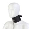 Desire Dominance Collar & Leash