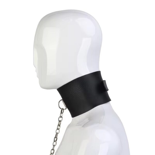 Desire Dominance Collar & Leash
