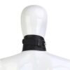 Desire Dominance Collar & Leash