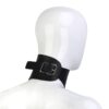 Desire Dominance Collar & Leash