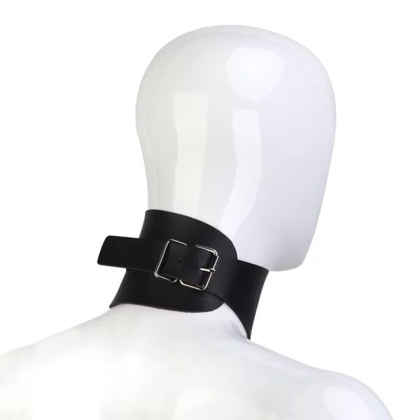 Desire Dominance Collar & Leash