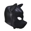 Desire Dominant Pup Mask