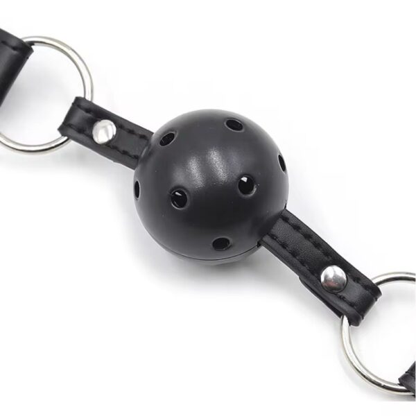 img_7324 Desire Command Chain Gag Set